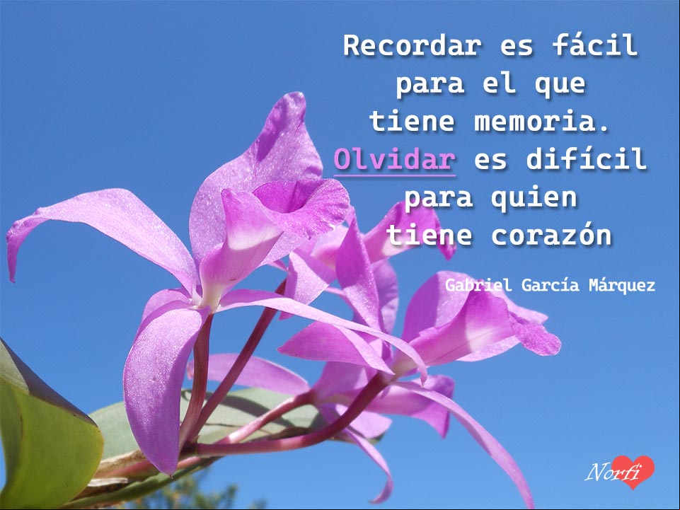 Recordar es fácil para el que tiene memoria. Olvidar es difícil para el que tiene corazón. Frase de Gabriel García Márquez Frase de Gabriel García Márquez sobre el recuerdo y el olvido