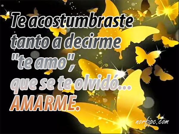 Te acostumbraste tanto a decirme "te amo", que se te olvidó amarme... #Desamor Se te olvido amarme
