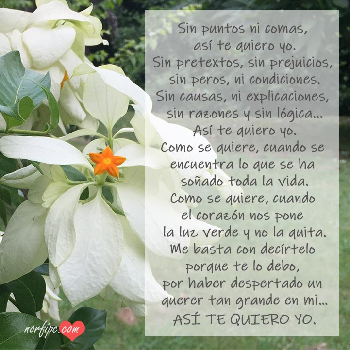 Así te quiero yo, poema de un amor desinteresado Así te quiero yo, poema de un amor desinteresado