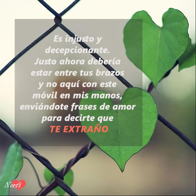 Debería estar entre tus brazos y no aquí con este móvil en mis manos, enviándote frases de amor para decirte que te extraño Debería estar entre tus brazos
