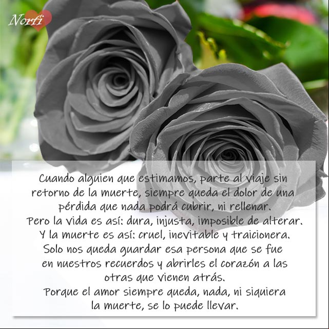 El amor siempre queda, nada, ni siquiera la muerte, se lo puede llevar El amor nada se lo puede llevar