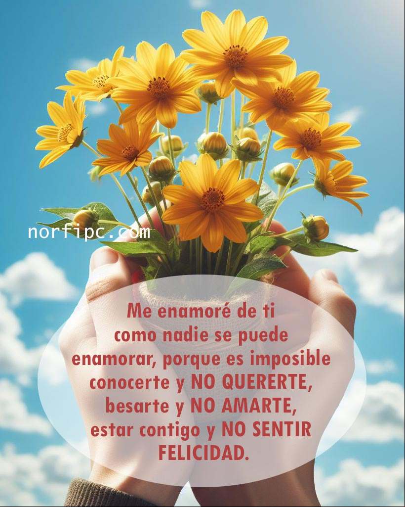 Me enamoré de ti como nadie se puede enamorar, porque es imposible conocerte y no quererte, porque es imposible besarte y no amarte, porque es imposible estar contigo y no sentir felicidad Manos sosteniendo flores amarillas