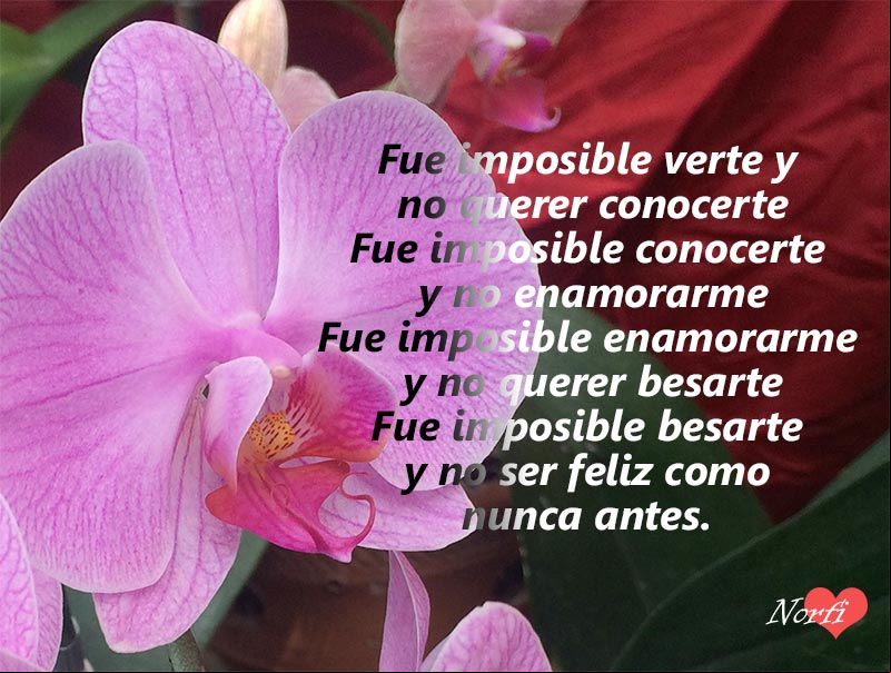 Fue inevitable no enamorarme de ti y no amarte Fue inevitable no enamorarme de ti y no amarte
