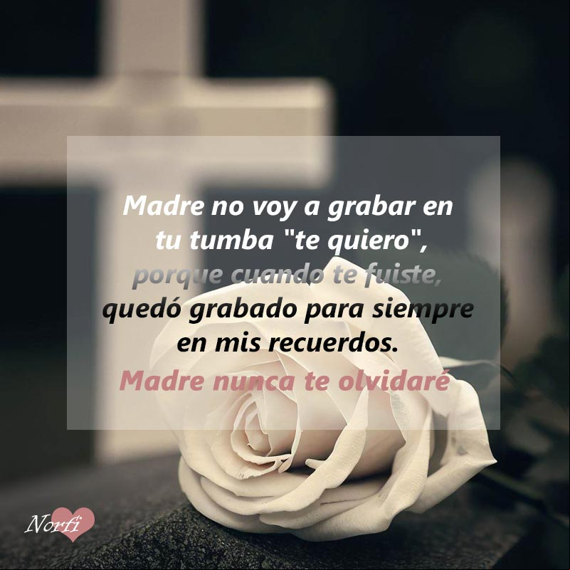 Madre no voy a grabar en la lápida de tu tumba 'te quiero', porque cuando te fuiste, quedó grabado para siempre en mis recuerdos Flor blanca encima de una tumba para asegurarle a mi Madre que nunca le olvidaré