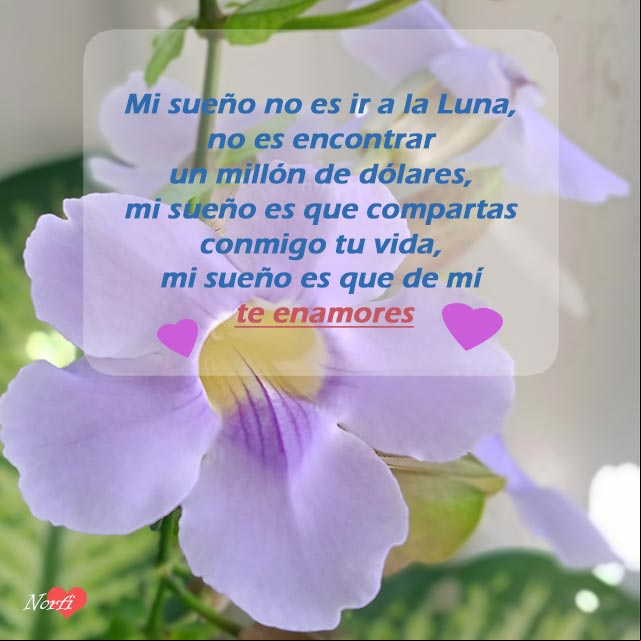 Mi sueño es que de mí te enamores Mi sueño es que de mí te enamores