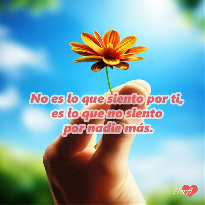 No es lo que siento por ti, es lo que no siento por nadie más Mano con una flor, fondo cielo azul