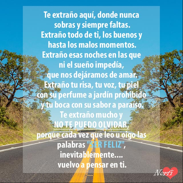 Te extraño mucho y no te puedo olvidar No te puedo olvidar