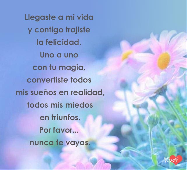 Llegaste a mi vida y contigo trajiste la felicidad. Uno a uno con tu magia, convertiste todos mis sueños en realidad, todos mis miedos en triunfos. Por favor… nunca te vayas. Llegaste a mi vida y contigo trajiste la felicidad. Uno a uno con tu magia, convertiste todos mis sueños en realidad, todos mis miedos en triunfos. Por favor… nunca te vayas.