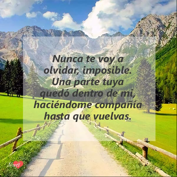 Nunca te voy a olvidar, imposible. Una parte tuya quedó dentro de mí, haciéndome compañía hasta que vuelvas Nunca te voy a olvidar, imposible. Una parte tuya quedó dentro de mí, haciéndome compañía hasta que vuelvas