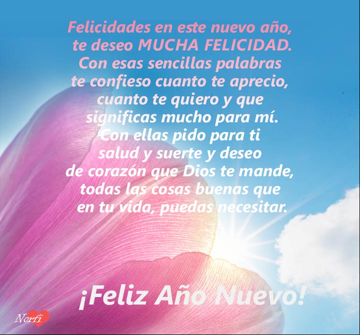 Le pido a Dios para ti mucha felicidad en este nuevo año Le pido a Dios para ti mucha felicidad en este nuevo año