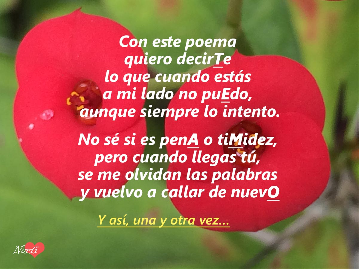 Poema para decirle que con todas mis fuerzas yo le quiero Poema para decirle que con todas mis fuerzas yo le quiero
