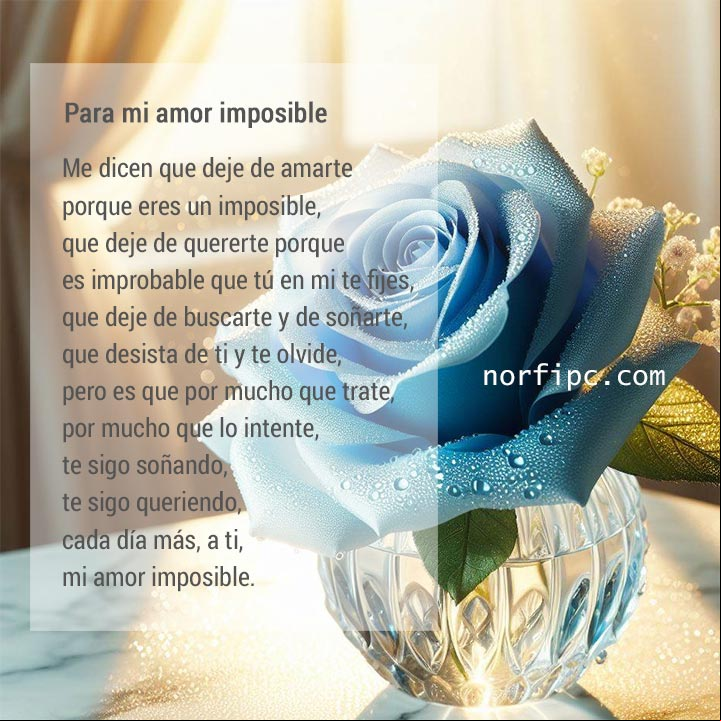 Poema para un amor imposible Rosa azul en un búcaro de cristal