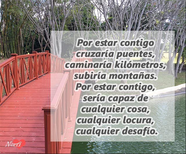 Por estar contigo, no sé todo lo que daría Por estar contigo, no sé todo lo que daría