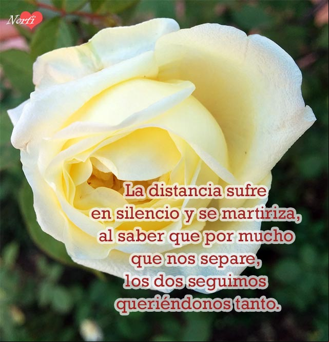 La distancia sufre en silencio y se martiriza, al saber que por mucho que nos separe, los dos seguimos queriéndonos tanto La distancia sufre en silencio y se martiriza, al saber que por mucho que nos separe, los dos seguimos queriéndonos tanto