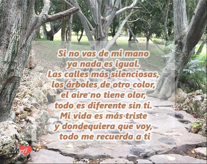 Si no vas de mi mano ya nada es igual Si no vas de mi mano ya nada es igual