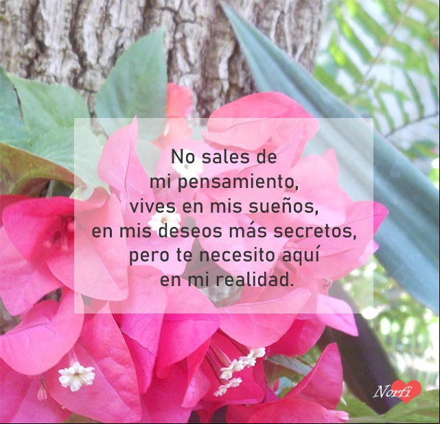 No sales de mi pensamiento, vives en mis sueños, en mis deseos más secretos, pero te necesito aquí en mi realidad No sales de mi pensamiento, vives en mis sueños, en mis deseos más secretos, pero te necesito aquí en mi realidad