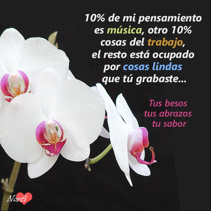 10% de mi pensamiento es música, otro 10% cosas del trabajo, el resto está ocupado por cosas lindas que tú grabaste Flores blancas con un poema porque siempre estás en mi pensamiento