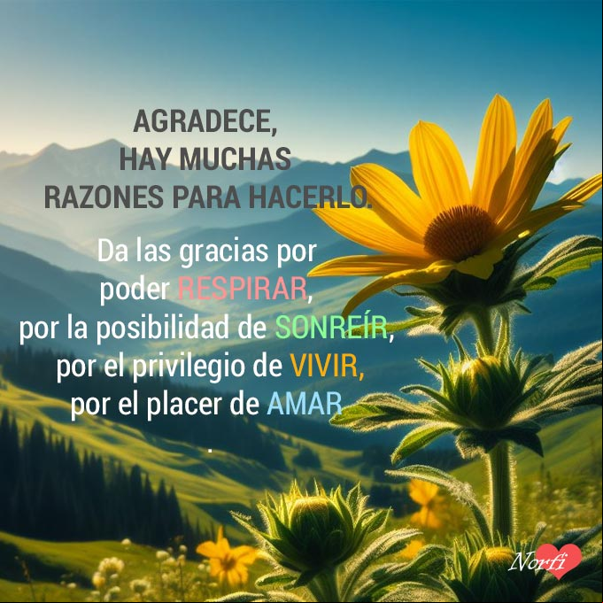 Agradece, hay muchas razones para hacerlo. Da las gracias por poder respirar hoy, por la posibilidad de sonreír, por el privilegio de vivir, por el placer de amar Flor amarilla sobresaliendo sobre un prado verde, detrás montañas, cielo azul
