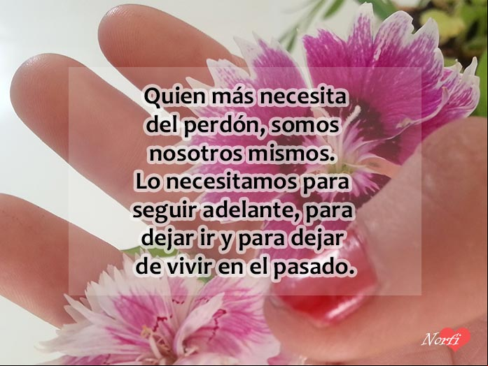 Mensaje sobre el perdón y el olvido