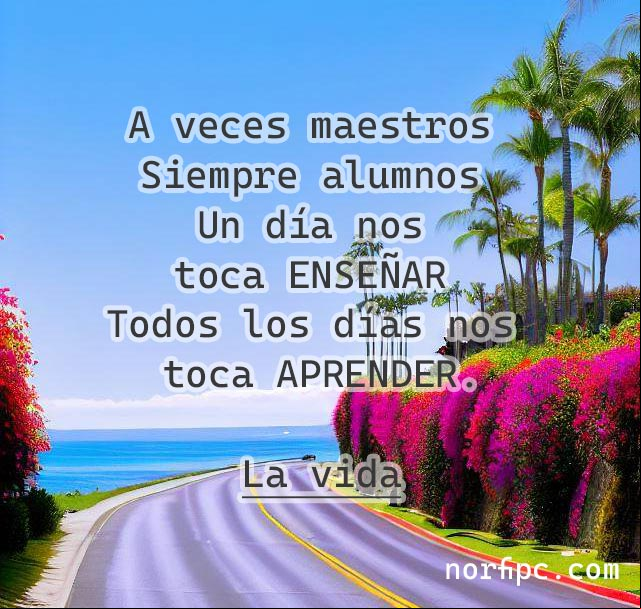 En la vida a veces somos maestros, siempre somos alumnos; un día nos toca enseñar, todos los días nos toca aprender Paisaje de carretera con flores con reflexión sobre la vida