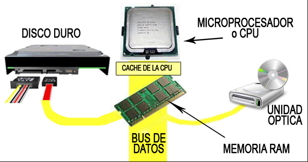 Función de cada dispositivo en la computadora