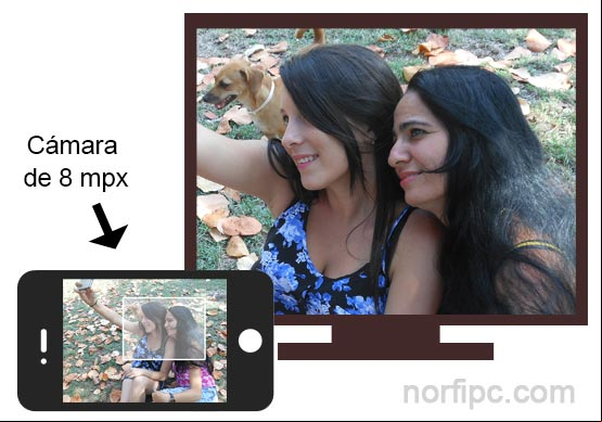 Comparación de la calidad de una foto y una parte de ella en una computadora Comparación de la calidad de una foto y una parte de ella en una computadora