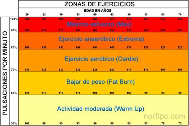 Zonas de ejercicios y las pulsaciones que corresponden a cada edad en cada una de ellas. Zonas de ejercicios y las pulsaciones que corresponden a cada edad en cada una de ellas.