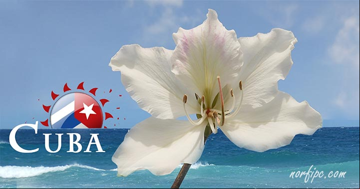 Lugares de Cuba, naturaleza, paisajes y fotos de la flor del Caribe Sobre mi país, lugares, leyendas y tradiciones cubanas