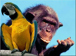 Los animales más inteligentes del mundo Los animales más inteligentes del mundo