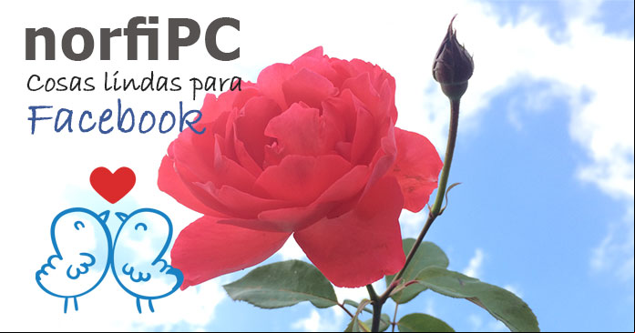 Cosas lindas para compartir en Facebook y en otras redes sociales de internet Cosas lindas para compartir en Facebook y en otras redes sociales de internet