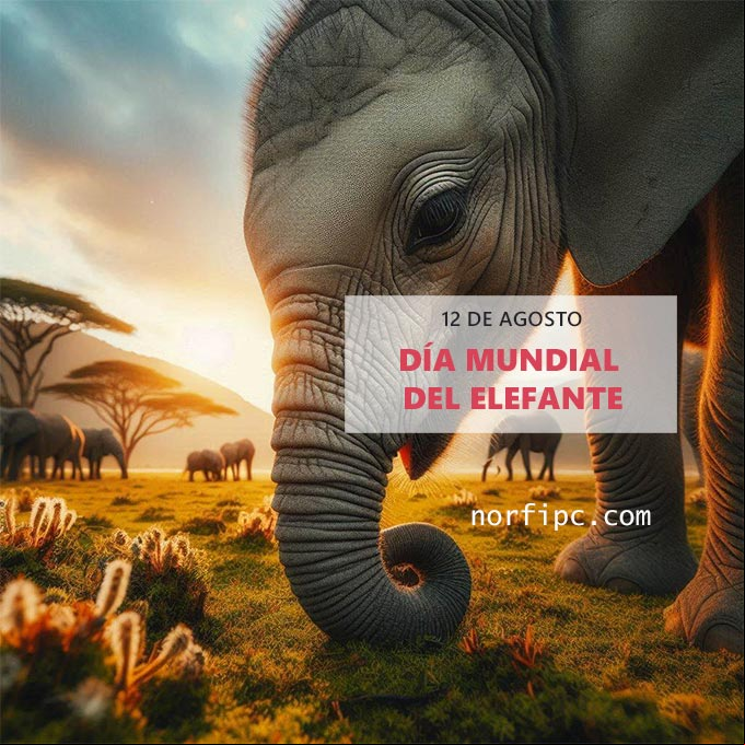 Elefante en pradera de África