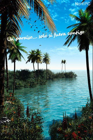Un paraíso…. solo si fuera contigo
