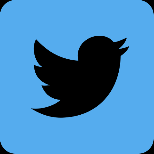 Icono oficial de Twitter Icono oficial de Twitter