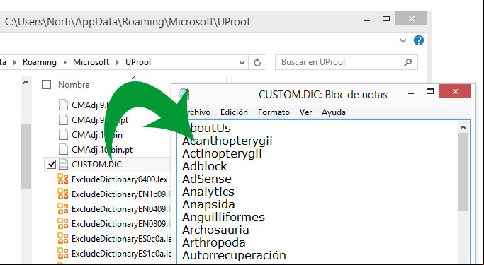 Agregar palabras manualmente al diccionario personal de Word Agregar palabras manualmente al diccionario personal de Word
