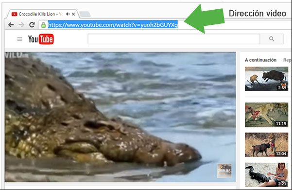 Dirección URL de un video en YouTube Dirección URL de un video en YouTube