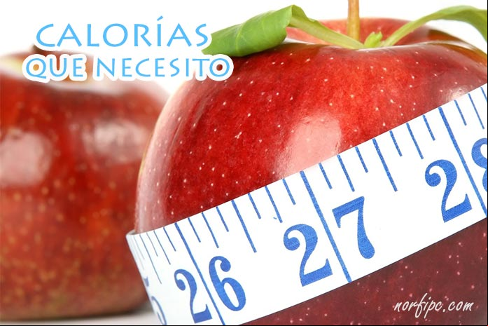 Calorías que necesito para mantener mi peso, adelgazar o engordar Calorías que necesito para mantener mi peso, adelgazar o engordar