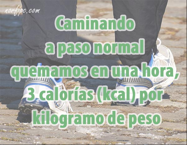 Caminando a paso normal quemamos en una hora, 3 calorías (kcal) por cada kilogramo de peso Gasto de calorias por kilogramos de peso