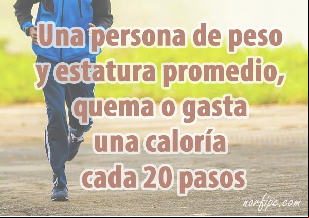 Una persona de peso y estatura promedio, quema o gasta una caloría cada 20 pasos Gasto de calorias por pasos
