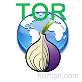 Como navegar en la red Tor y proteger nuestra identidad en internet