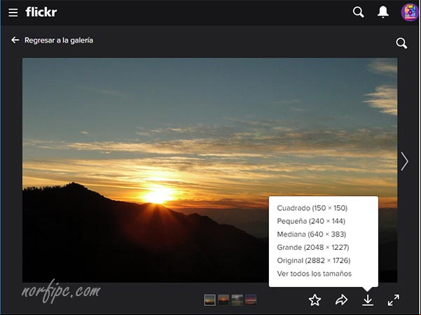 Descargar fotografías libres en alta resolución desde Flickr Descargar fotografías libres en alta resolución desde Flickr